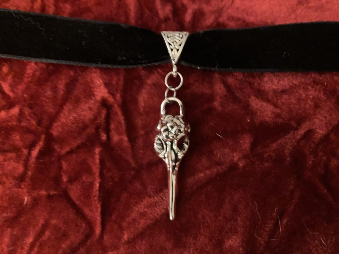Pagan Gothic Raven Crow Skull Velvet Choker